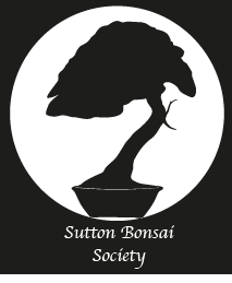 Suttonlogo1